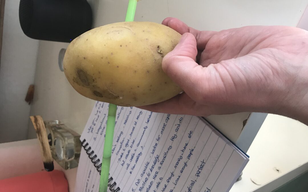 How sticking a straw through a potato saved me €300